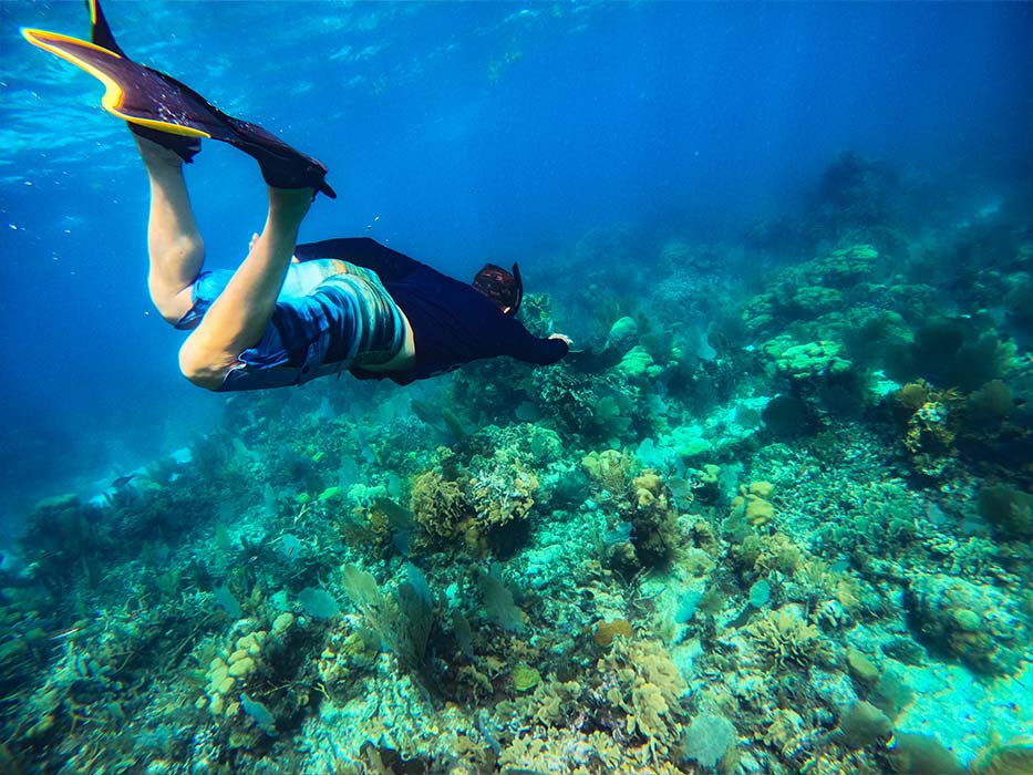 Belize-Snorkeling-Trail-2