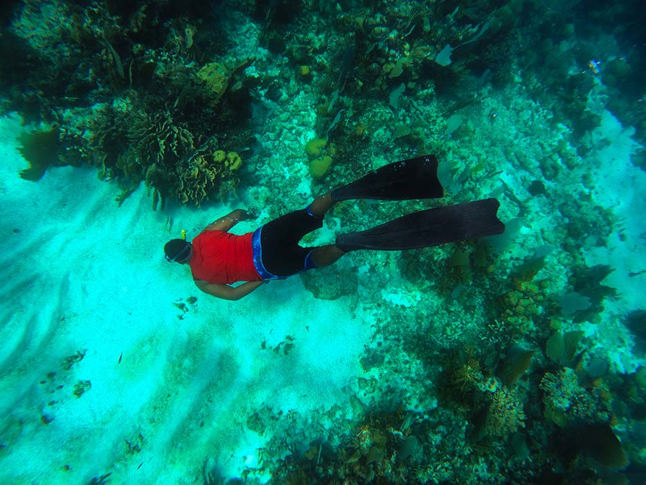 Belize-Snorkeling-Trail-3