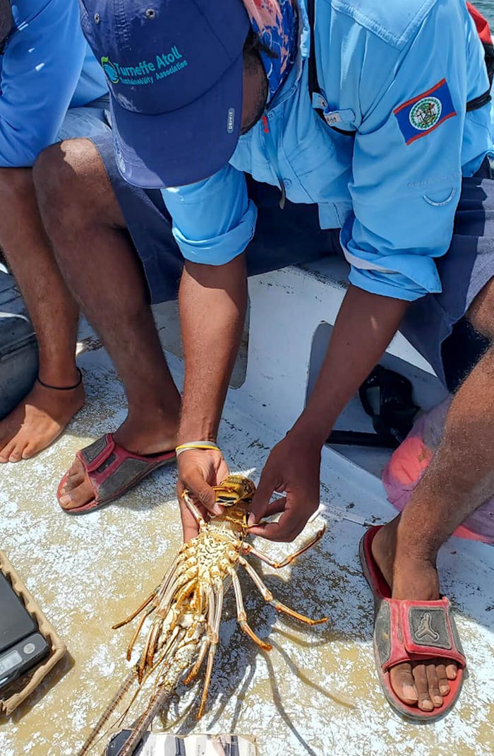 Where-your-money-goes-2