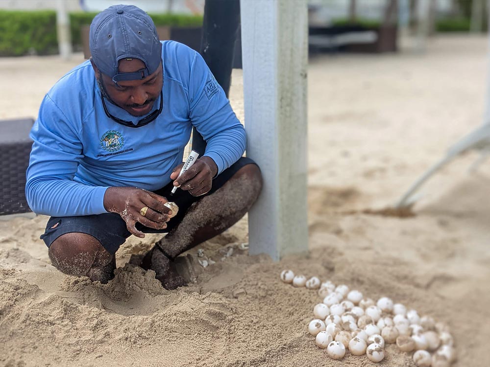 Where-your-money-goes-4