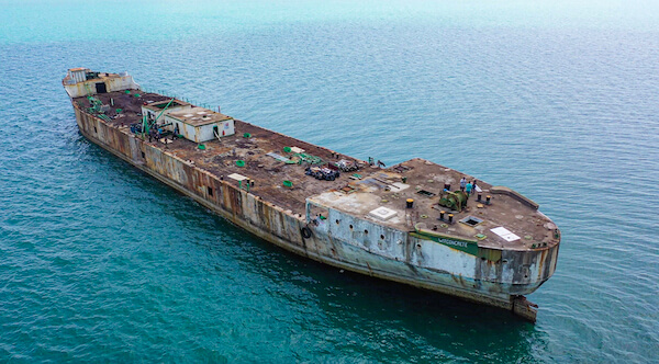 Scubaverse newsletter - The story of the Wit