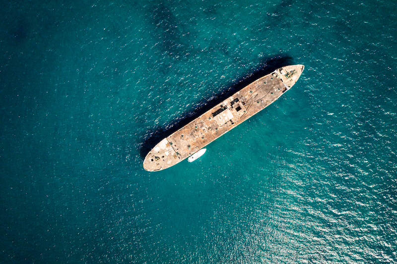 The Wit - A Divers Dream & Conservation Innovation