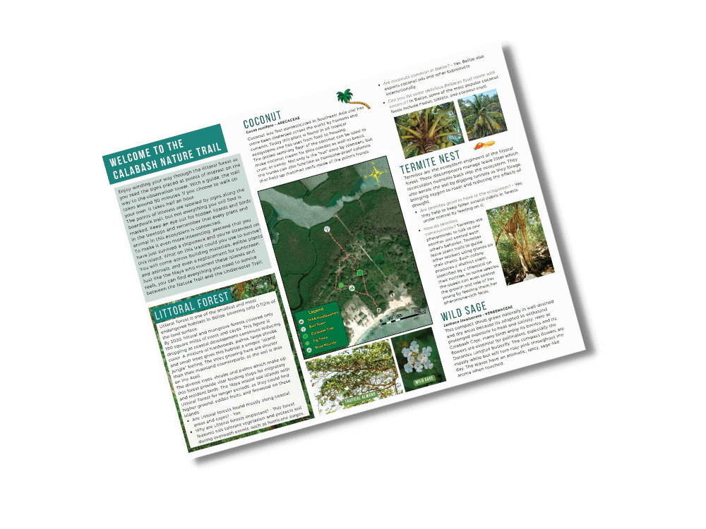 Turneffe Atoll Marine Reserve_Traveller Resources_Calabash Caye Nature Trail Guide